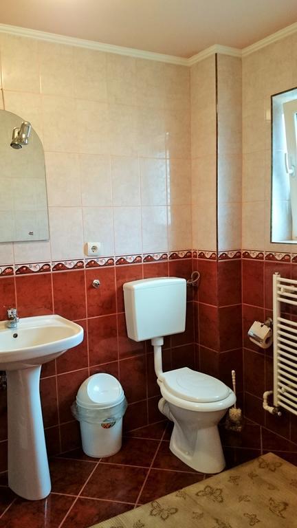 Hotel Casa Flamingo Sovata Pokój zdjęcie
